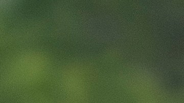 La decisión representa una importante victoria judicial para Trump,