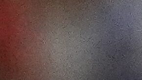 Diego Luna tiene 16 partidos con la selección mayor de Estados Unidos.