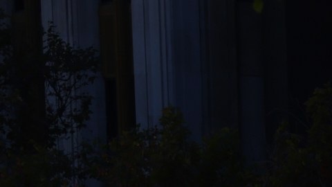 Manifestantes marchan en Los Ángeles durante la protesta "No Kings" el 18 de octubre de 2025.