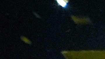 Jugadores de Marruecos levantan el trofeo que los acredita como campeones del mundo Sub-20.