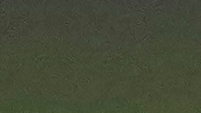 Los Angeles Dodgers' Kiké Hernández throws during a World Series baseball media day, Thursday, Oct. 23, 2025, in Toronto. The Toronto Blue Jays face the Los Angeles Dodgers in Game 1 on Friday. (AP Photo/David J. Phillip)