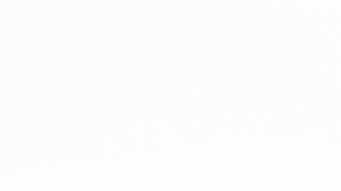 Los agentes dispararon “varias rondas de fuego defensivo”, hiriendo al conductor en el abdomen.