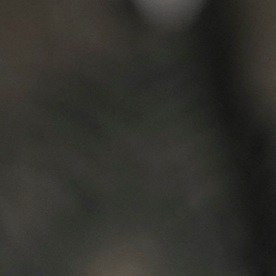 Más de 40 millones de personas se quedarían sin ayuda SNAP.