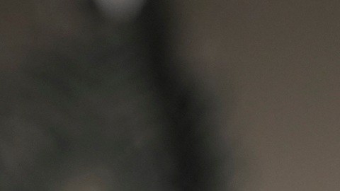 Más de 40 millones de personas se quedarían sin ayuda SNAP.