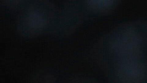 Wright se convirtió en el duodécimo sheriff de Carolina del Sur en ser condenado o declararse culpable en los últimos 15 años por delitos cometidos en funciones.