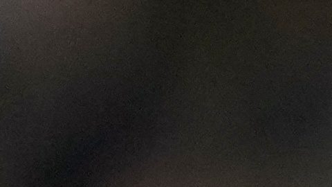 Toronto va por su primera Serie Mundial desde 1993.