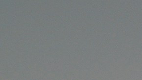 Law enforcement officers in riot gear patrol a street near Los Angeles City Hall in downtown Los Angeles on Monday, June 9, 2025. (AP Photo/Eric Thayer)