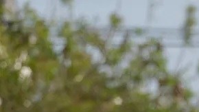 Agresiones a policías