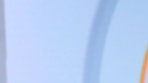 Alejandra Tijerina Caramelo Erubey