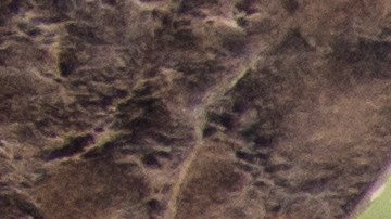 Alerta sanitaria: HelloFresh retira productos con espinacas contaminadas