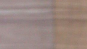 Aleska Génesis Nicky Jam