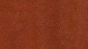 Amber Heard revela tiernas imágenes de su Halloween junto a sus tres pequeños