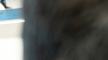 Riesgos de la exposición a los rayos solares son muchos: el uso de anteojos de sol no es solo cuestión de estética