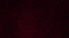 Cynthia Erivo Ariana Grande