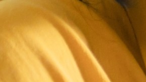 Infecciones virales como una gripe pueden aumentar el riesgo de un ataque cardíaco o derrame cerebral