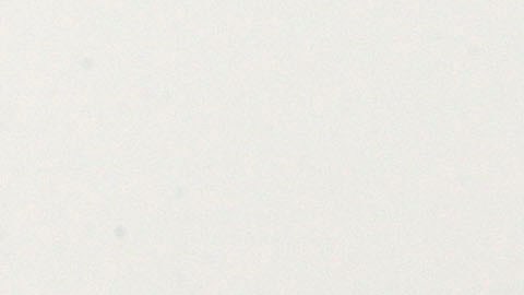 A Southwest Airlines jet plane lands at Love Field Monday, Feb. 3, 2014, in Dallas. Southwest Airlines plans to start nonstop flights between Dallas and New York and 14 other cities this fall, when federal limits on the airline's home airport end. (AP Photo/LM Otero)