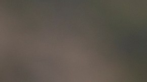 Tipos de bebidas alcohólicas que puedes permitirte dependiendo tu condición de salud