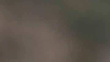 Tipos de bebidas alcohólicas que puedes permitirte dependiendo tu condición de salud