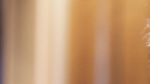 Bernie Sanders, senador independiente por Vermont