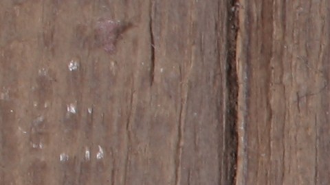 Billete de $100 dólares