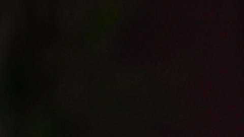 Billie Eilish lanza una crítica a los multimillonarios con Mark Zuckerberg entre el público