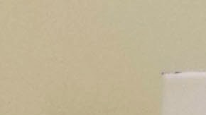 Bob Ross, subasta de pinturas