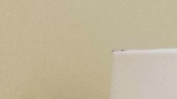 Bob Ross, subasta de pinturas