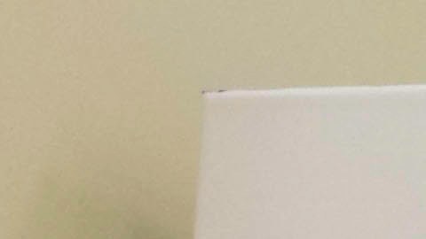 Bob Ross, subasta de pinturas