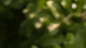 FILE - In this Aug. 20, 2020 file photo, postal workers load their mail delivery vehicles at the Panorama city post office in Los Angeles. The Nov. 3 election will test California's commitment to voting by mail as the nation's most populous state will offer fewer in-person polling places hoping it will convince more people to cast ballots from the safety of their mailboxes during a pandemic. If it doesn't work, the state could see long lines and frustrated voters on Election Day compounded by coronavirus protocols that will make voting in person slower in a year expected to draw a big turnout. (AP Photo/Richard Vogel, File)