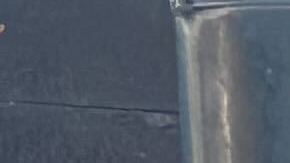 Bovino fue grabado en video lanzando varias latas de gas lacrimógeno contra una multitud.