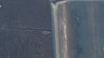 Bovino fue grabado en video lanzando varias latas de gas lacrimógeno contra una multitud.