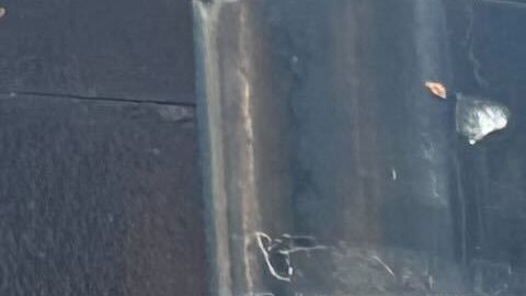 Bovino fue grabado en video lanzando varias latas de gas lacrimógeno contra una multitud.