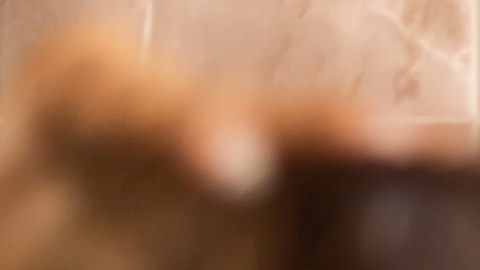 Canas prematuras?: no son solo producto de la genética o el estrés, también lo son de deficiencias nutricionales - La Opinión