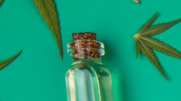 Dos nuevos estudios aseguran que el cannabis alivia el dolor de espalda: subrayan ventajas sobre otros analgésicos