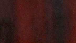 Roberto Gómez Fernández Bad Bunny SNL