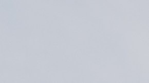 Cierre de gobierno lo pagan los trabajadores