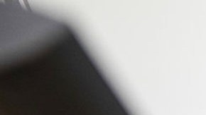 Tribunal de Circuito