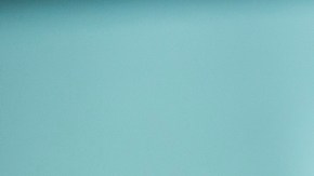 Identifican bacteria que puede destruir células cancerosas