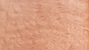 Cupones SNAP beneficiarios niños