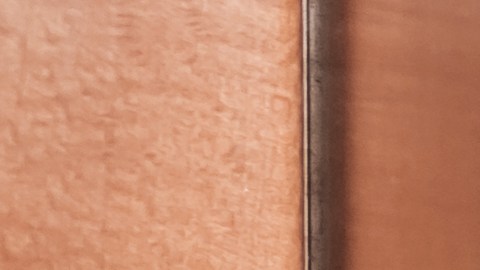 Cupones SNAP beneficiarios niños