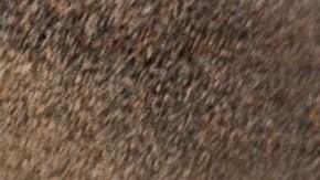 Desiertos hipotecarios