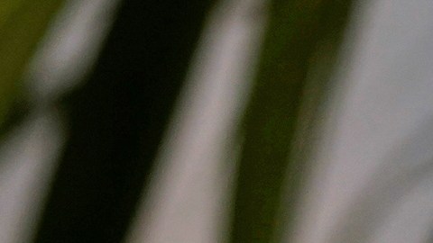 Diane Keaton nunca se casó y decidió tener hijos a los 50, ¡estas fueron sus razones!