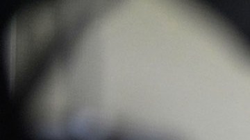 Donald Trump, presidente estadounidense