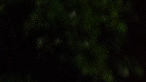 A Federal guard walks to work as gusty showers move over downtown Los Angeles early morning Tuesday, Oct. 14, 2025. (AP Photo/Damian Dovarganes)