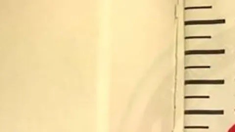 El Menchito