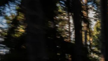 El espectacular Audi Concept C