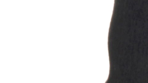 Empleado en estado furloughed