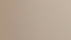 A pythonis is prepared for transport Wednesday Jan. 29, 2014, in Santa Ana, Calif., at the home of William Buchman. Buchman has been arrested for investigation of neglect in the care of animals, after authorities found at least 300 living and dead pythons in plastic bins inside Buchman's stench-filled suburban home. (AP Photo/Nick Ut)