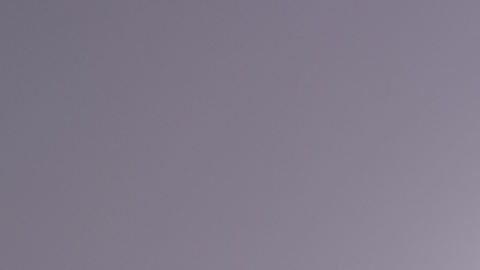 Los Caligaris comenzaron como grupo en un barrio popular de Córdova, Argentina. Foto: Cortesía