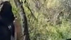 Fosa clandestina en Sonora